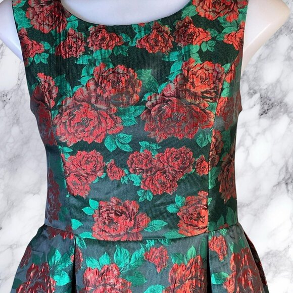 Pink Martini Carnation Floral Jacquard Dress - Picture 6 of 11